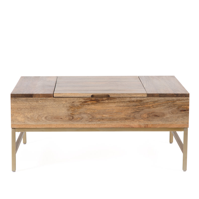 Kassidy Lift Top Coffee Table with Storage & Reviews AllModern